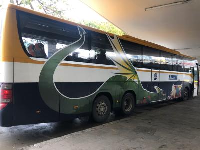 Autobús de Monbus con vinilado especial para el día de Sant Jordi